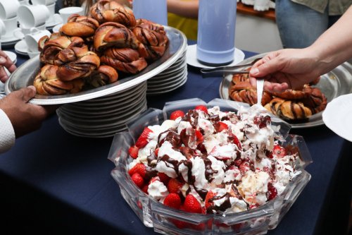 2024.06.02-Sweden-Party249