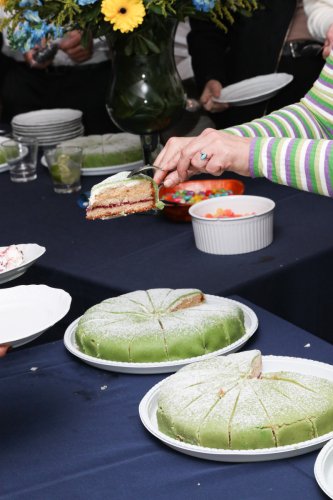 2024.06.02-Sweden-Party262