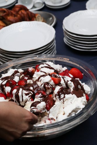 2024.06.02-Sweden-Party271